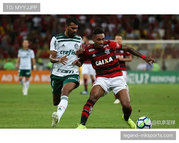 南美解放者杯官方最新消息